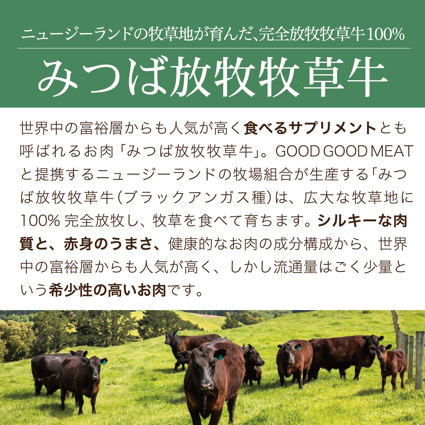 おうちごはん詰め合わせセット