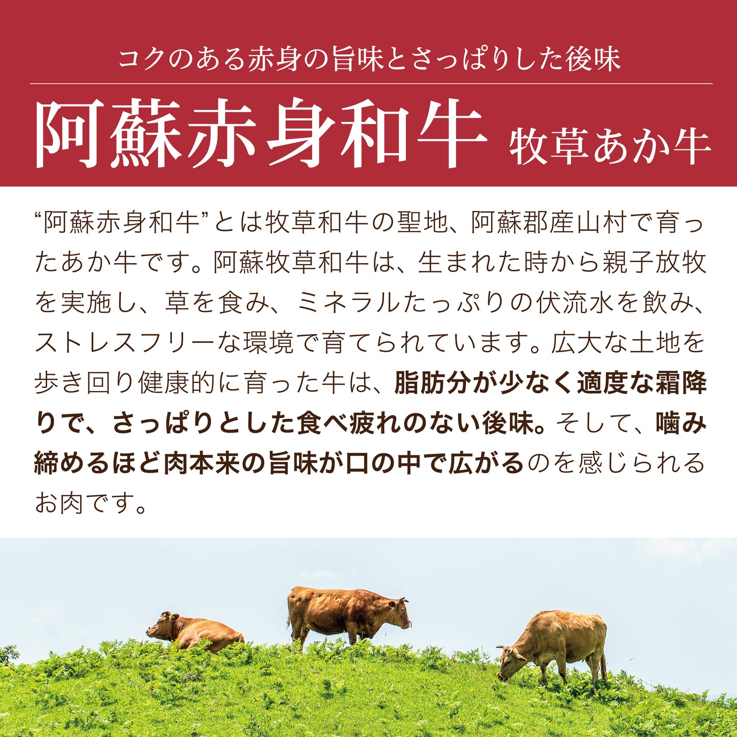 牧草あか牛のコンビーフ