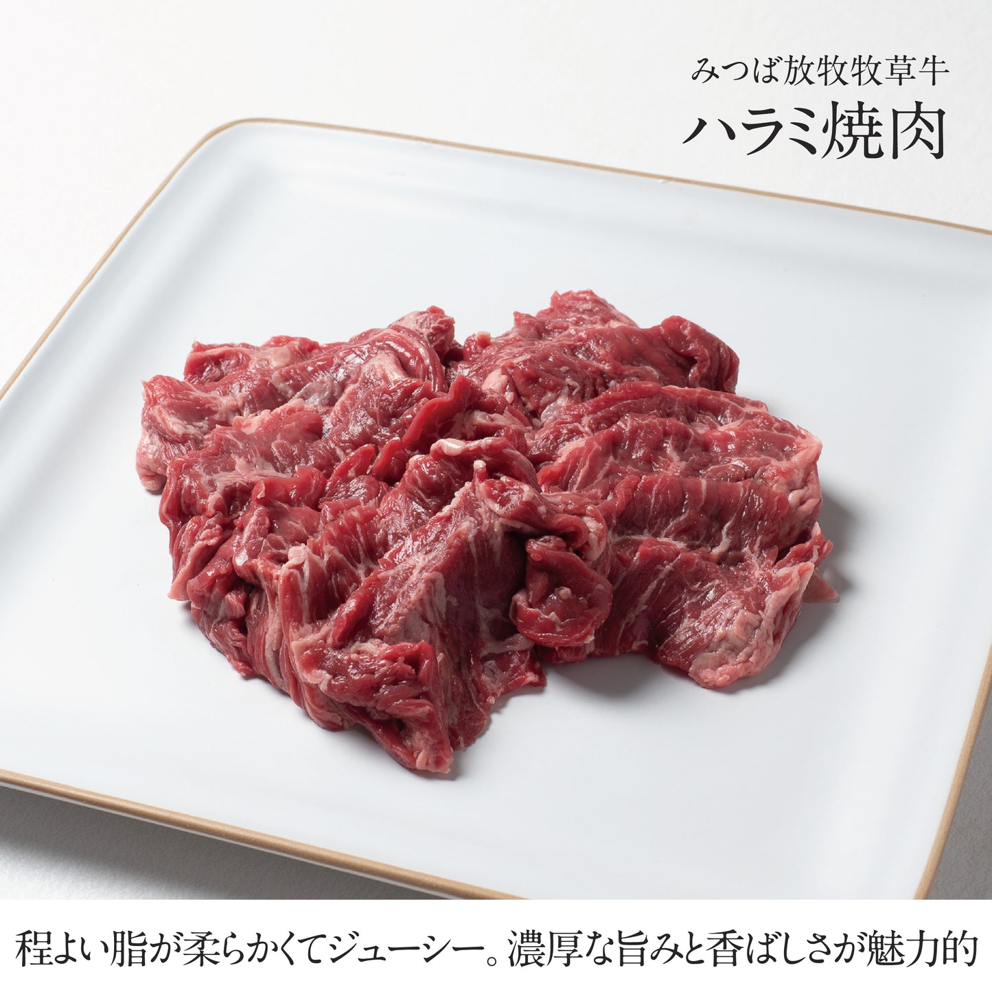 選べる骨付き肉のセット 約3~4人前