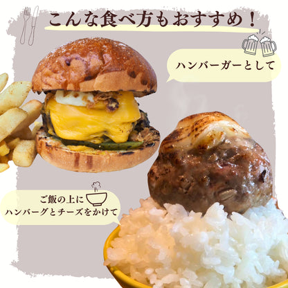 ハンバーグ４兄弟食べ比べセット(120g×4個入り)